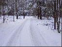 the snowy winter lane