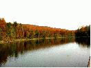 trees with fall colors around lake