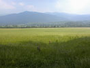 fields and mountains