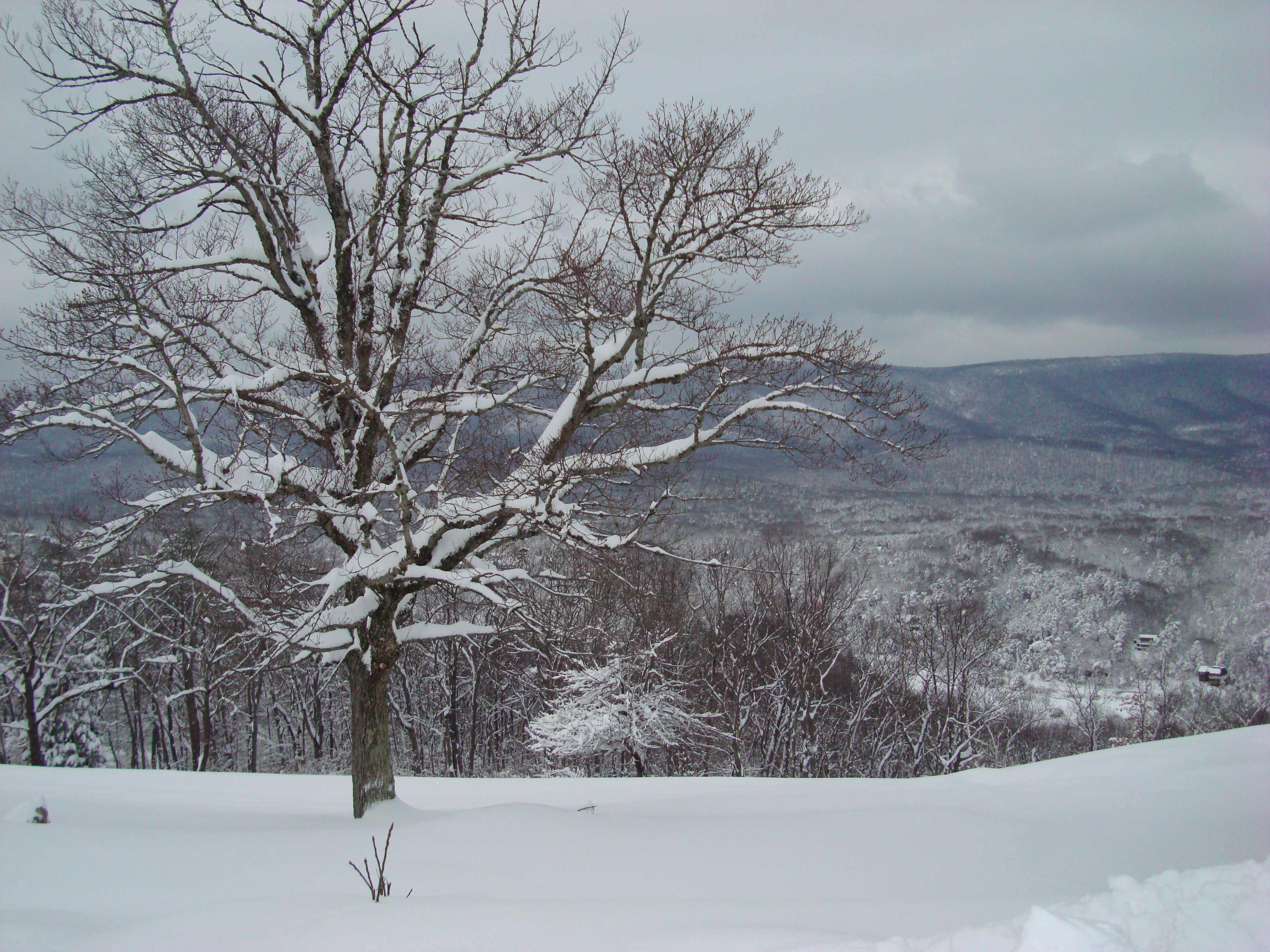 Winter Snow at Sky Chalet Mountain Lodge